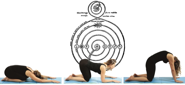 yoga-pratico-immagine-simbolo